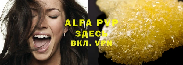 индика Абаза