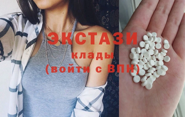 индика Абаза