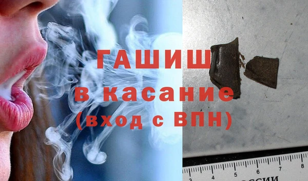 индика Абаза