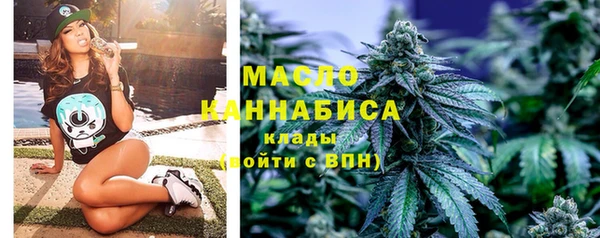 индика Абаза