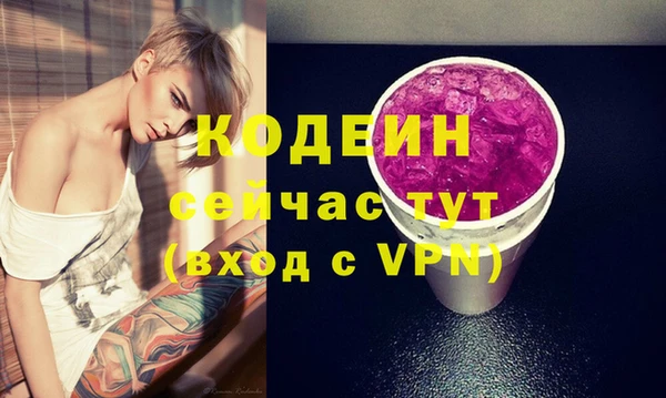 индика Абаза