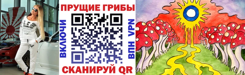 где можно купить наркотик  Котово  Галлюциногенные грибы Psilocybine cubensis 